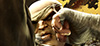 SAGAT
